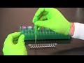 Understanding ELISA Procedure Steps