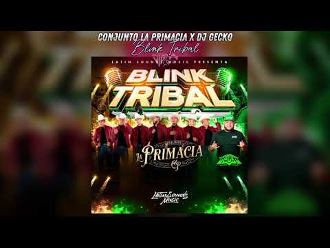 Conjunto La Primacía x Dj Gecko | Blink Tribal | 2025