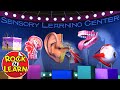 Understanding the Five Senses