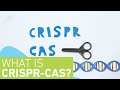 CRISPR-Cas Technology Concepts