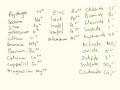 Understanding Ionic Compounds and Formulas