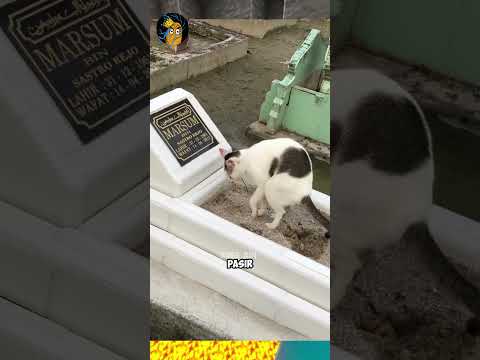 Lu Ketawa, Lu Harus Batal Puasa - Tahan Tawa (Part 186)