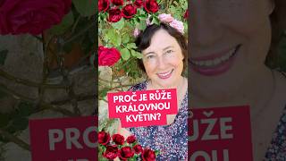 Proč je růže nazývána královnou květin? #osobnirozvoj