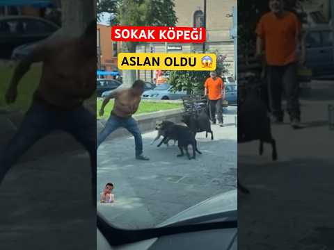 Kimsesiz Adamı Onlar Korudu