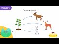 Environmental Components and Their Roles