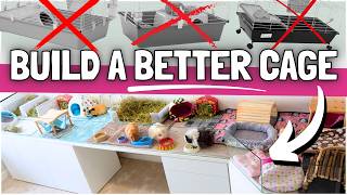 DIY Guinea Pig Cages: Lessons From YEARS of Building! 🛠️