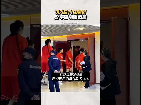 ์ค๊ตญ ๋๊ตฌ ์ธ์ฌํ ใทใท