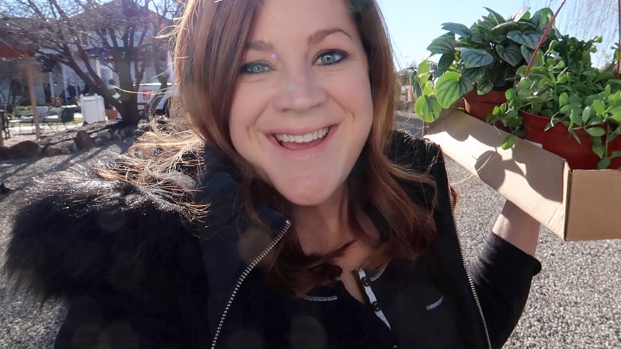 A Trip to the Garden Center for Houseplants!