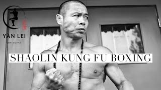 Shaolin Kung Fu Boxing – Ancient Combat Meets Modern Power!