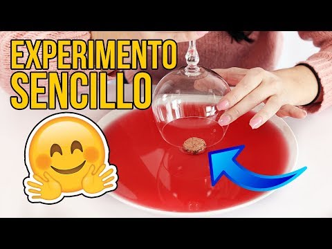 EL INCREÍBLE EXPERIMENTO SENCILLO QUE PUEDES HACER EN CASA