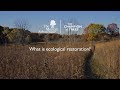 Ecological Restoration Concepts and Challenges