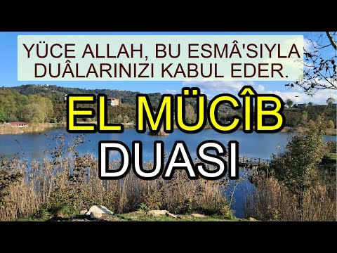 Mücib Duası-Rabbim, bizi gündüzleri helâl rızık için çalışan, geceleri huzurla kullarından eyle.