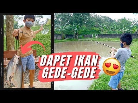 Mancing di Tansu Parung Ikannya Gede-Gede | Tips Membangun Keluarga Seru