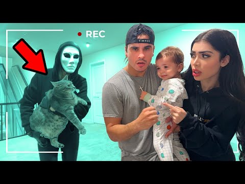 Someone STOLE Our Cat! *Caught On Camera*