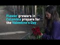 Flower Industry Knowledge Assessment