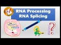 RNA Processing and Gene Expression