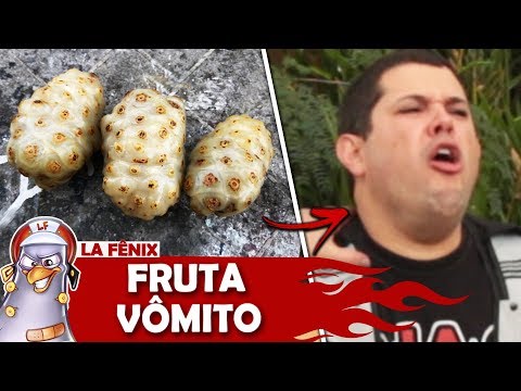 NONI A FRUTA MAIS NOJENTA DO MUNDO