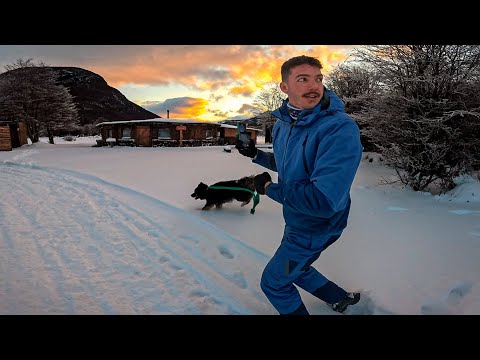 FUI REBOCADO POR UM MALAMUTE DO ALASCA (Incrivel)