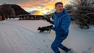 FUI REBOCADO POR UM MALAMUTE DO ALASCA (Incrivel)