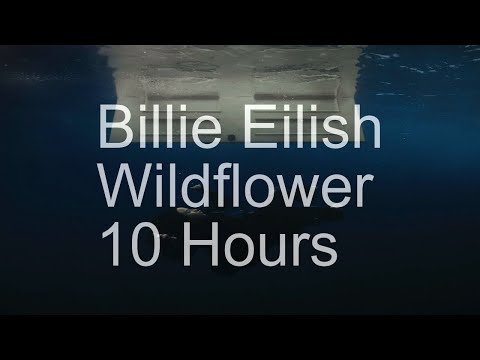 【10 Hours】Billie Eilish - Wildflower