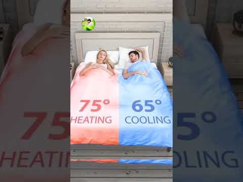 😱கடைசிவர பாருங்க | 3 Unbelievable Beds #experiment #trending #bed #fact #shorts #shortsfeeds