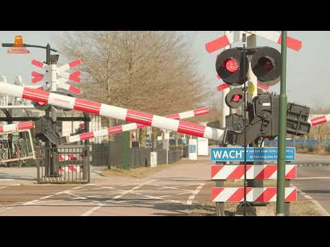 DUTCH RAILROAD CROSSING - Maarheeze – Den Engelsman