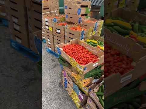 أطنان من الأكل في الزباله بأمريكا 😱🇺🇸🍅
