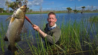 2 Weeks in Australia - Swimming with Crocodiles, Racing Rally Cars & Petting Kangaroos