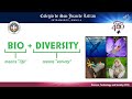 Biodiversity and GMOs Concepts