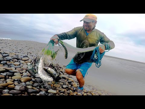 PESCA, TUTURIALES y Redes: un TRÁILER que Transformará tu Experiencia como PESCADOR