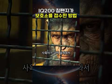 천재 침팬지의 치밀한 계획