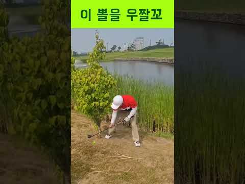 살리는 방법 아시는 분...? #shorts #golf
