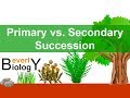 Exploring Primary and Secondary Ecological Succession