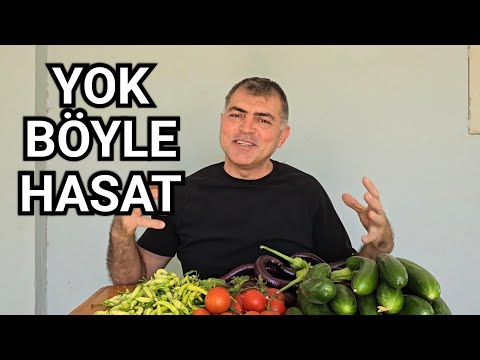 Doğal Yöntemler ve Bol Mahsül