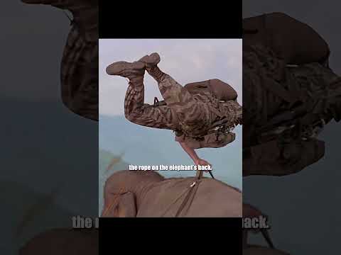 Have You Ever Seen an Elephant Skydive? #movie #film