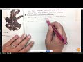 Measurement and Unit Conversion Concepts