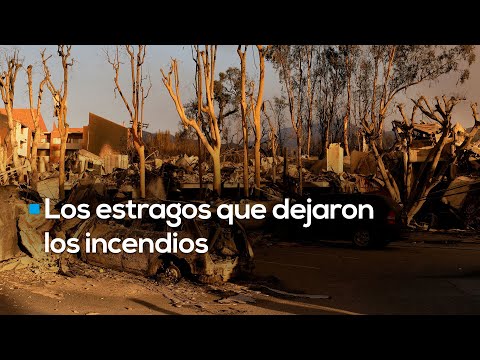 VIVIERON UN INFIERNO | Familias completas se quedan sin casa tras incendios en California