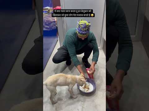 रात के 9 बजे आया ये भूखा बेजुबान 🥹 #doglover #helping #dog #animals #pets
