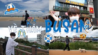 Về chơi du lịch Busan sau 2 năm xa nhà (feat Busan EXPO 2030)