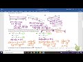 Geometric Concepts and Relationships