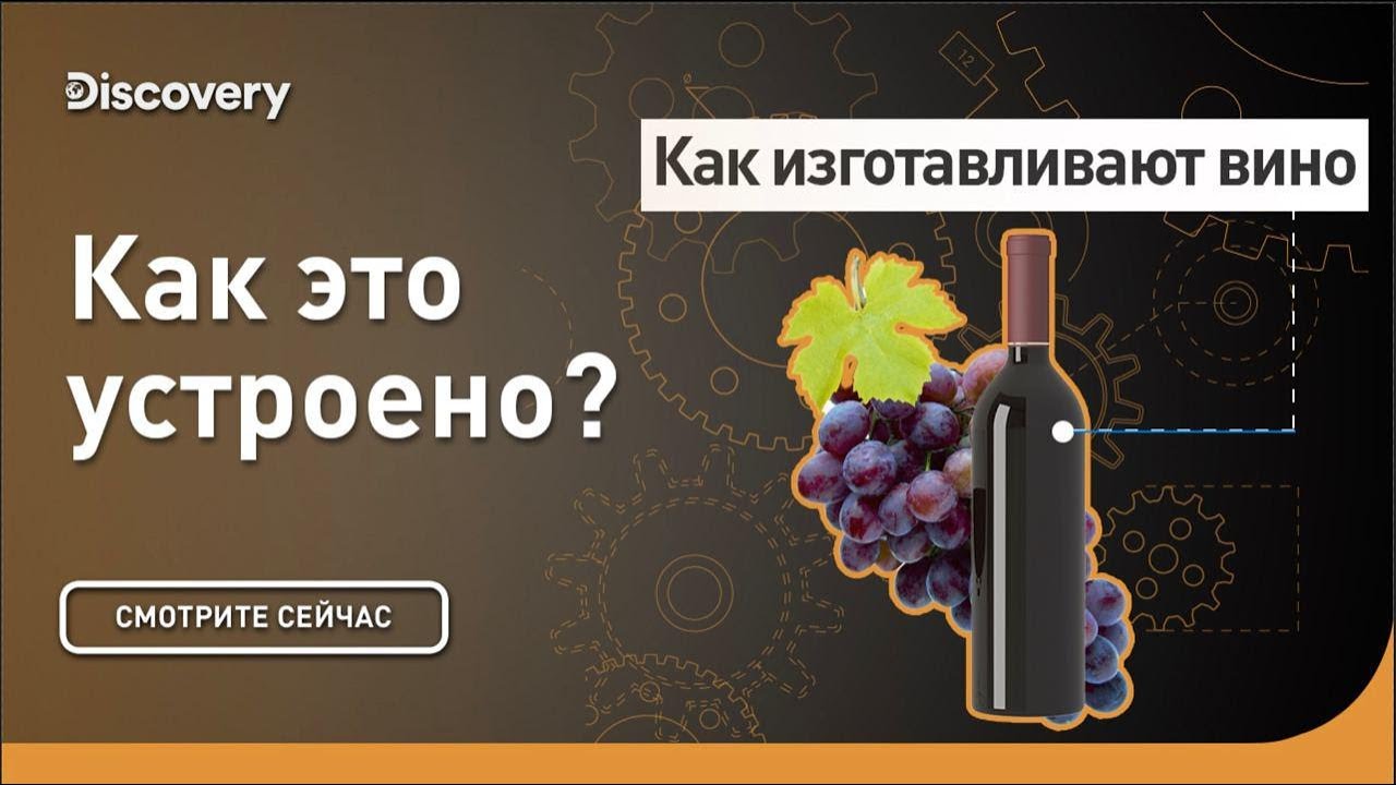 Как изготавливают вино Как это сделано?