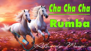 Relaxing Music  - Cha Cha Cha - Rumba - Tango  2025