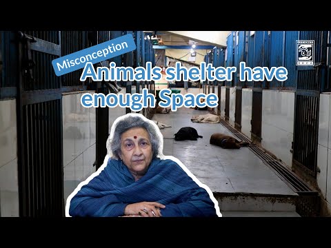 Misconception: Animals shelter have enough Space  | Geeta Seshamani | FRIENDICOES SECA