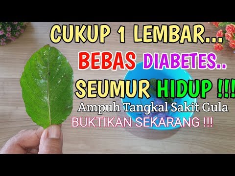 HERBAL Ajaib Yang Diturunkan ALLAH ke Muka Bumi Untuk Manusia
