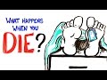 Understanding the Process of Death