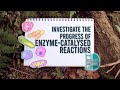 Enzyme Reaction Measurement Techniques
