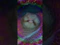 비디오 튜토리얼 퀴즈