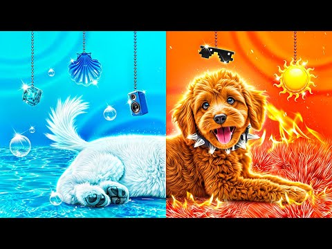 Animali Domestici Fuoco contro Acqua! Costruiamo una Stanza Segreta per gli Animali Domestici