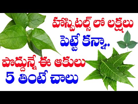 హాస్పిటల్స్ లో లక్షలు పెట్టే కన్నా..పొద్దున్నే ఈ ఆకులు 5 తింటే రోగాలు దరిచేరవు!