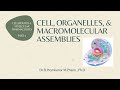 Cellular Structures and Functions